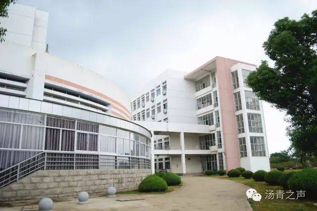 巢湖学校，探寻多元化教育殿堂的概述