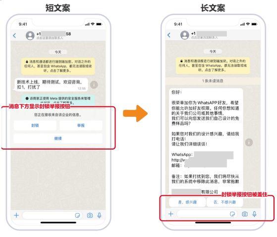 WhatsApp消息转发与群发秘籍分享