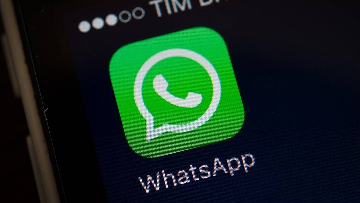 WhatsApp自动回复与群发消息全流程操作指南