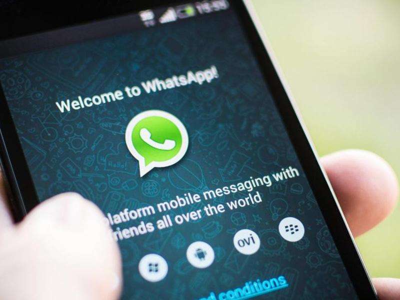 创意互动全攻略，WhatsApp状态更新与好友互动操作指南