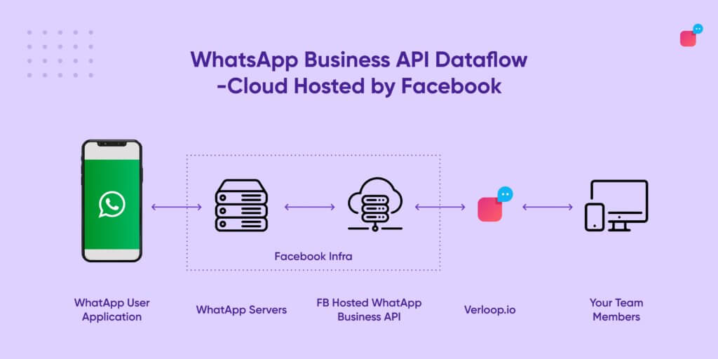 WhatsApp文件与媒体传输优化全攻略，基础设置到高级技巧全解析