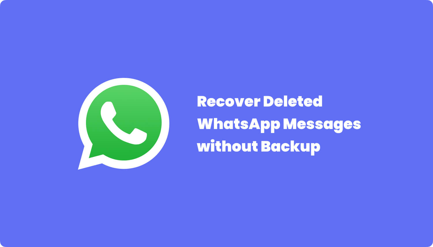 WhatsApp聊天记录备份恢复与云端管理全流程指南