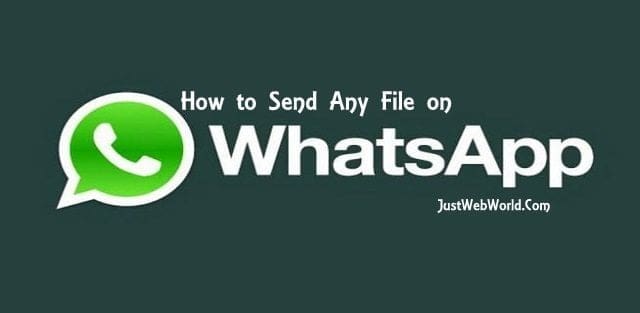 WhatsApp文件与媒体传输优化全攻略，基础操作至高级技巧解析